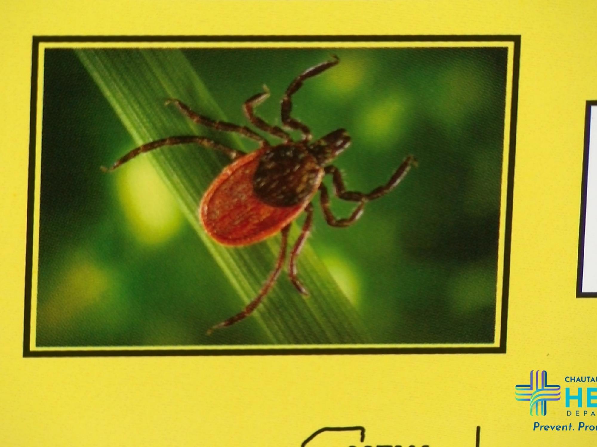 VIDEO This Fall Protect Against Ticks Lyme Disease Chautauqua   Tick 3.4.1 