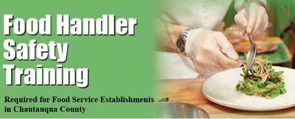 Food Handler Safety