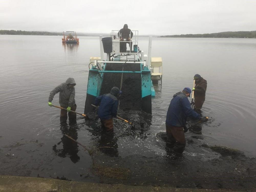 (An example of in-lake shoreline cleanup activities)