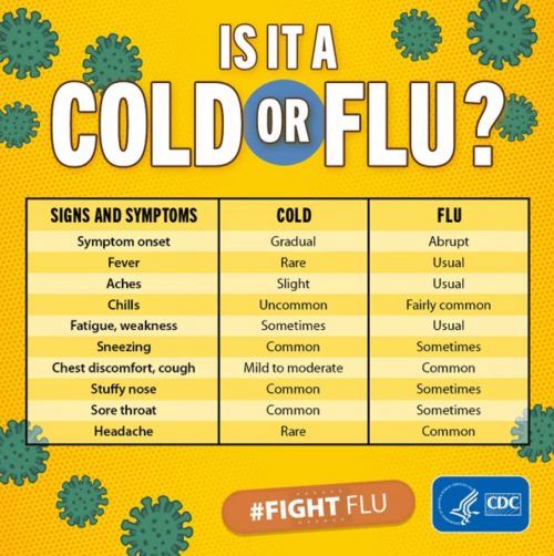 cold or flu